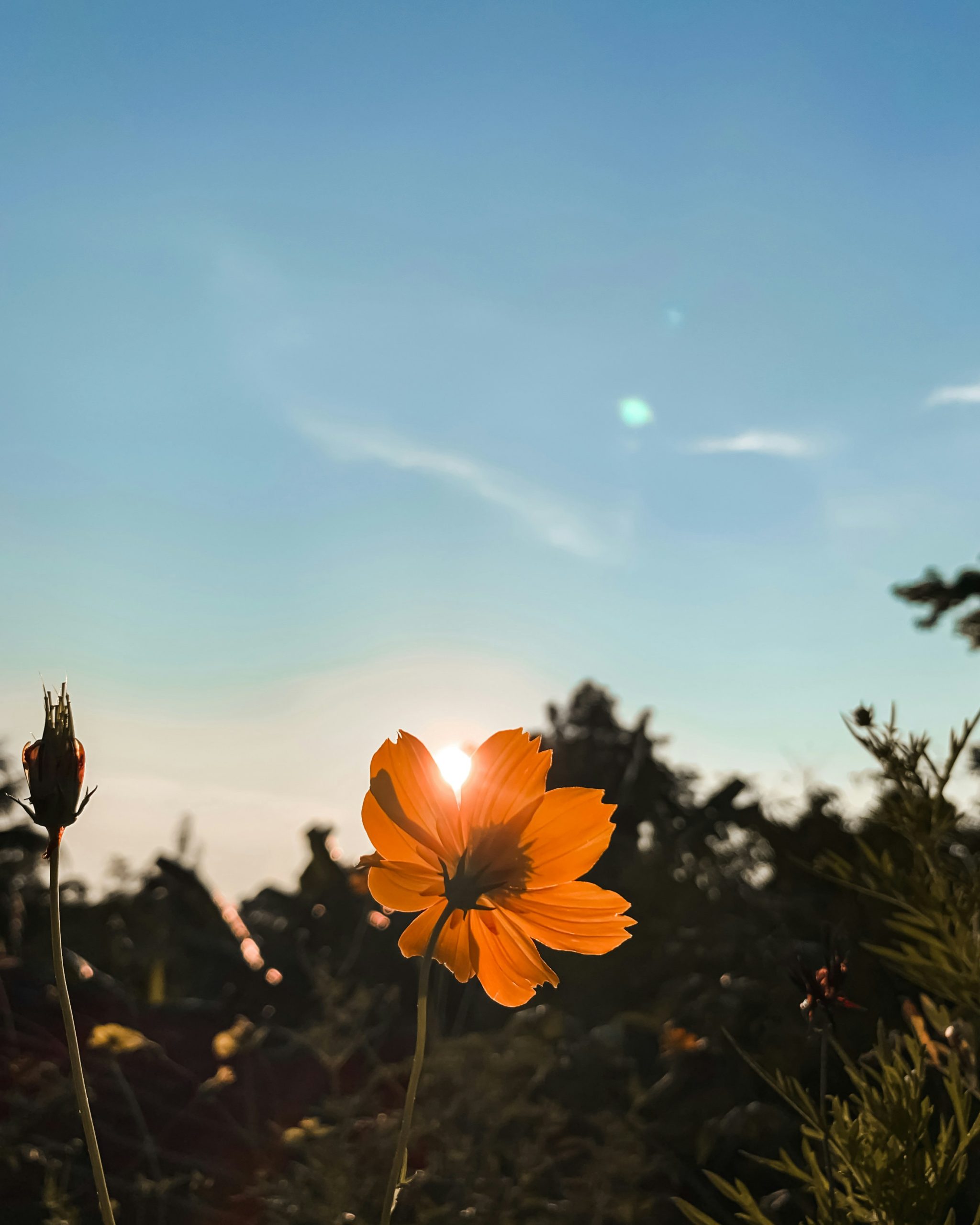 Ahoj svet!